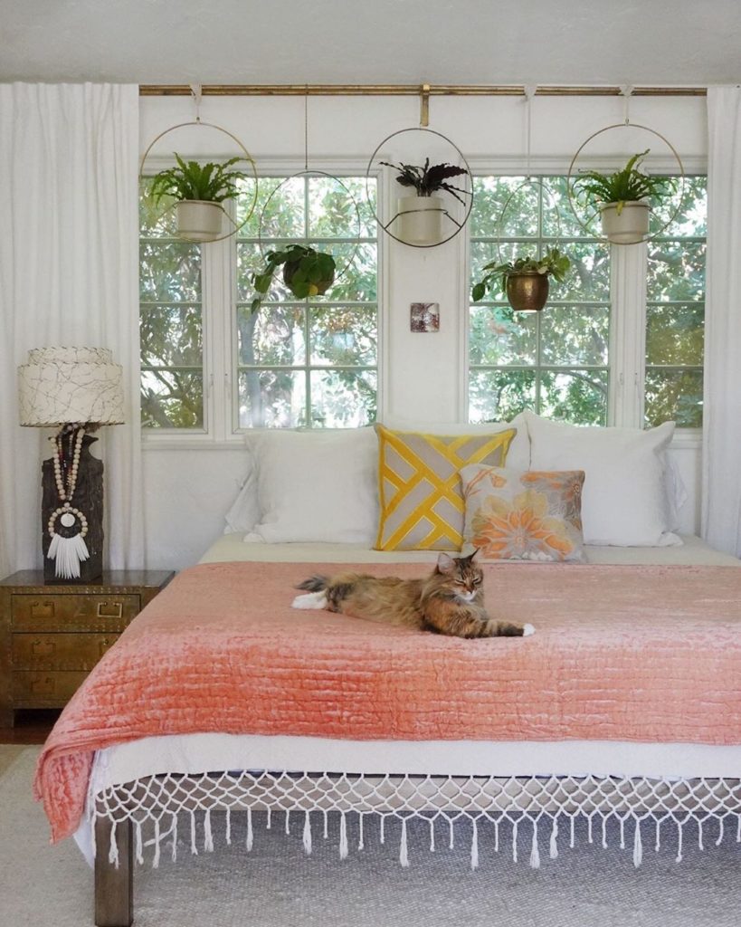 Take your Sill plants to the next level.  Our friend @skaynedesigns paid a visit...