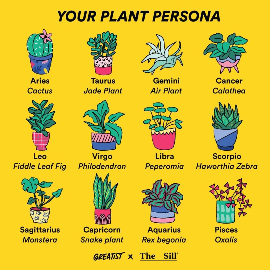 Did we get your sign right?  Illustration by @yourfriendirene for @greatist. Be ...