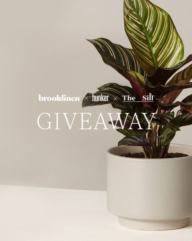 Fall Home Refresh GIVEAWAY  Fall is just around the corner and we're partnering ...