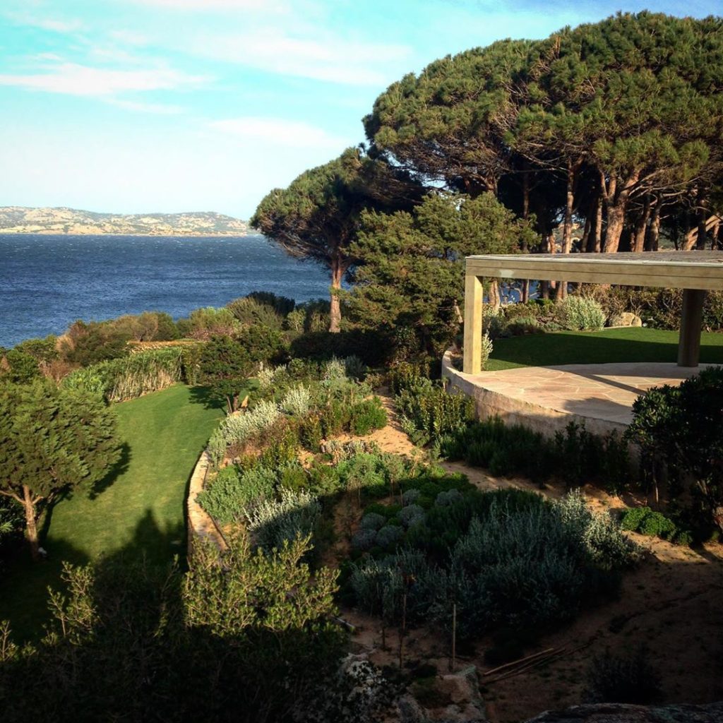 Looking forward to seeing how the garden we created in Sardinia is getting on an...