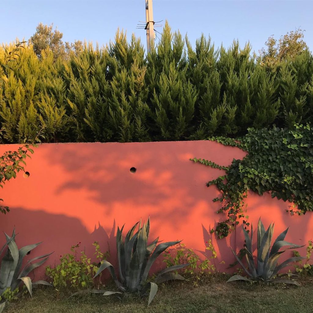 @the_gallipoli_houses #russetcolour #wall #garden #gallipoli #peninsula #turkey...