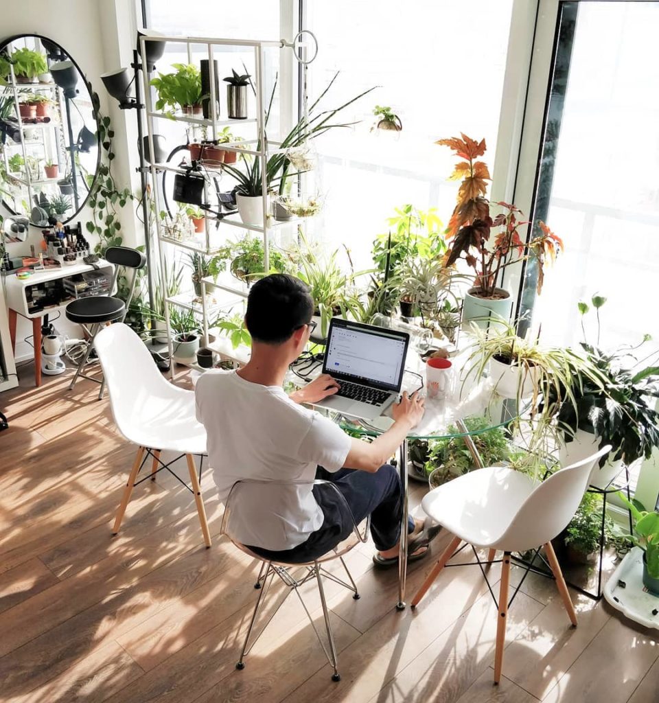 I'm much faster at analyzing and answering houseplant questions on my computer, ...