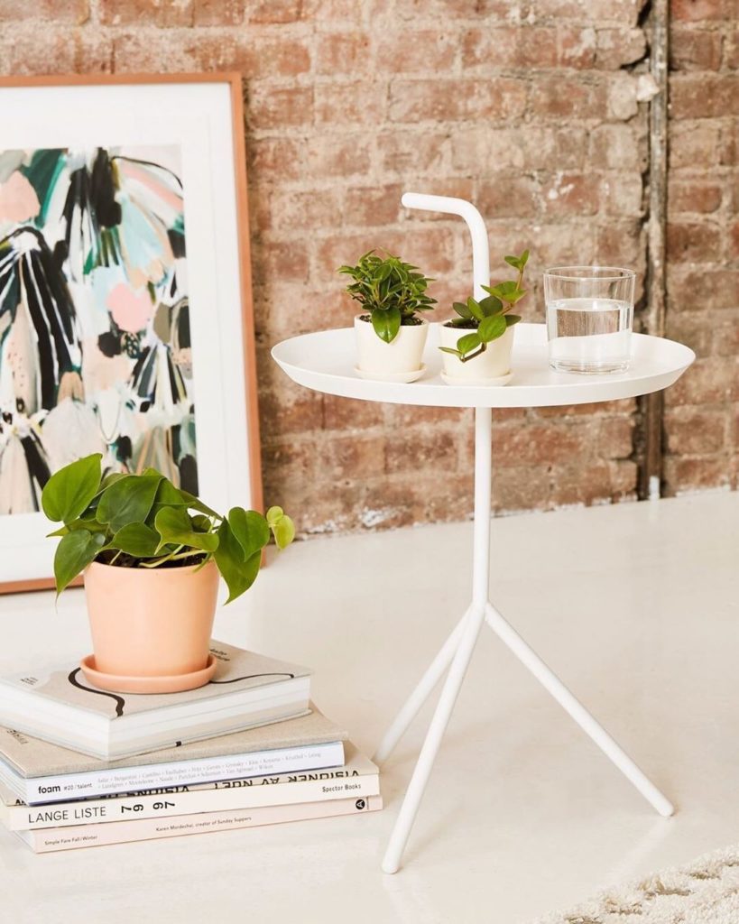 Looking to fill the empty spaces in your apartment? Level up by vining down with...
