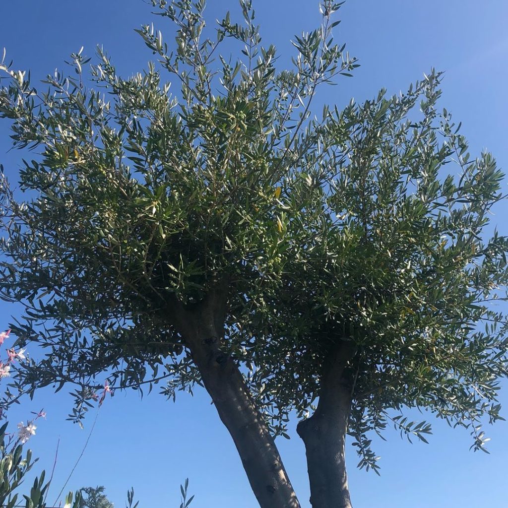 London or the Mediterranean...your guess?...