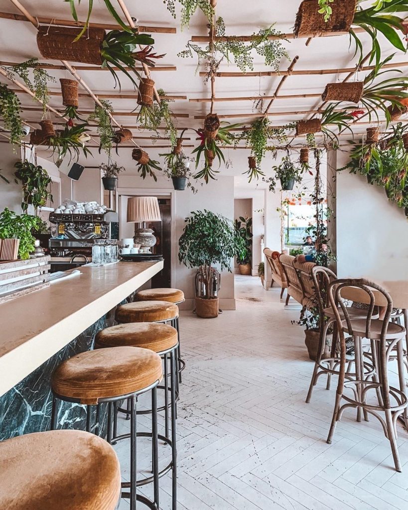We're celebrating the #FirstDayofFall with an ode to the best indoor plant exper...