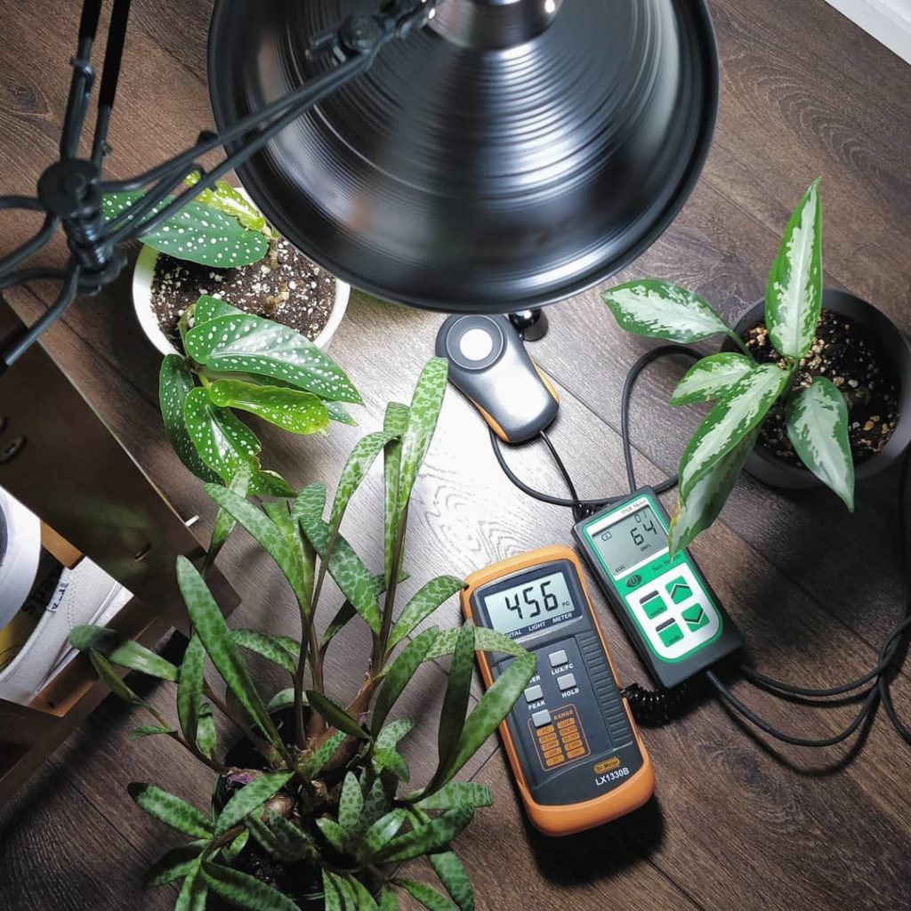 houseplantjournal: PAR vs. Foot-candles/Lux – blog post is up now! (link in profile)
–
Here’s a rou… PAR vs. Foot-candles/Lux - blog post is up now! (link in profile)
-
Here's a rou...