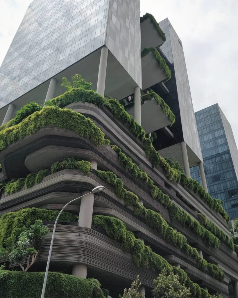 houseplantjournal: #tbt I don’t think there are any boring angles on this building…#singapore #pa… #tbt I don't think there are any boring angles on this building...#singapore #pa...