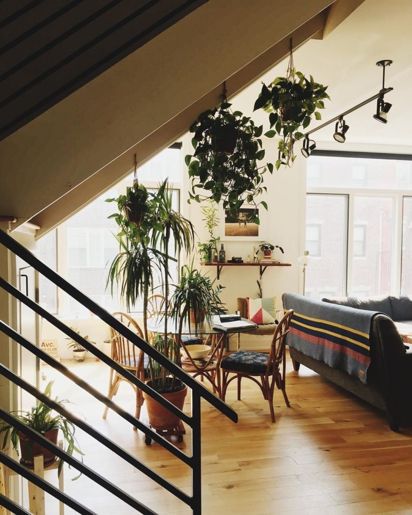 Never met a trailing plant that we didn't like. @thecoffeybreak is serving up so...