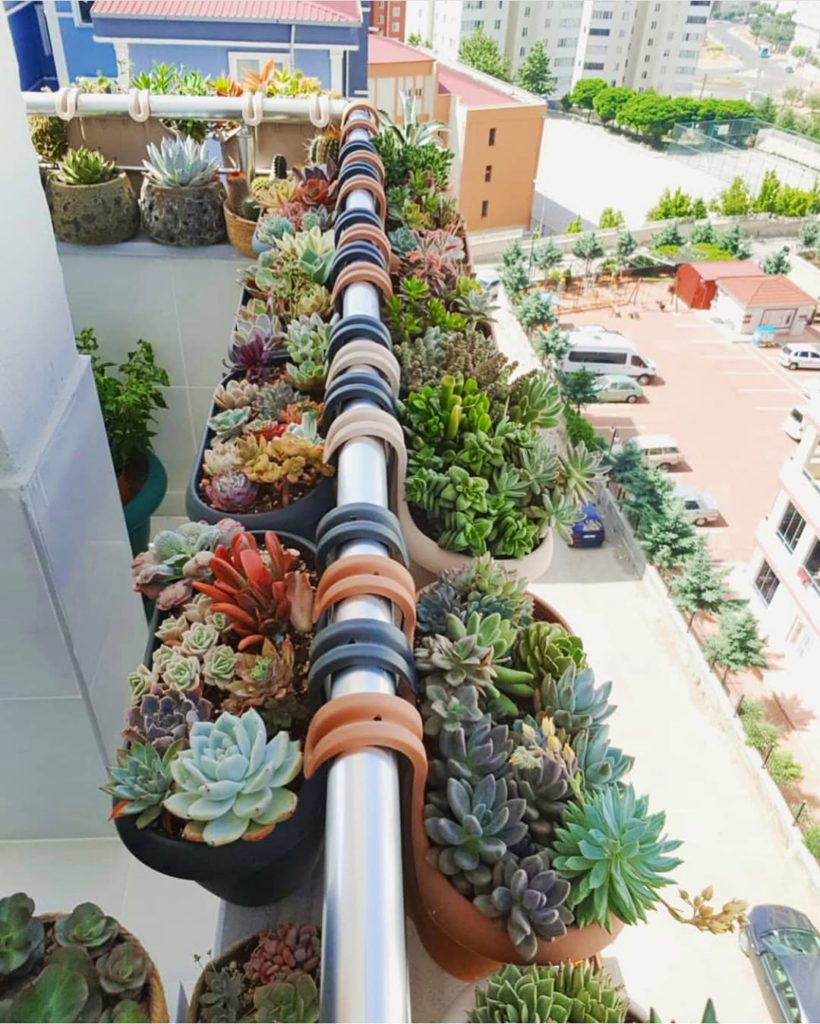 My kinda balcony : @housesucculent...
