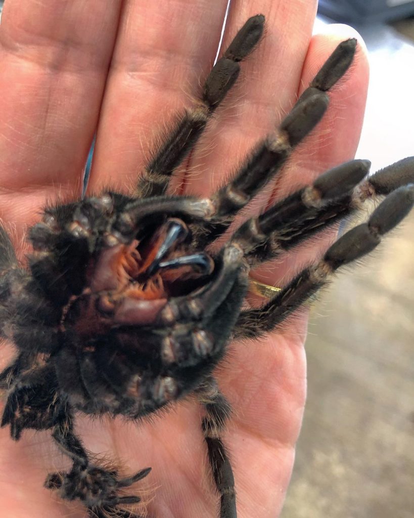 @randandasquith always a joy to pop by......