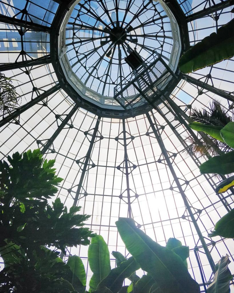 Why aren't these glass panes transparent? They have a translucent white coating ...