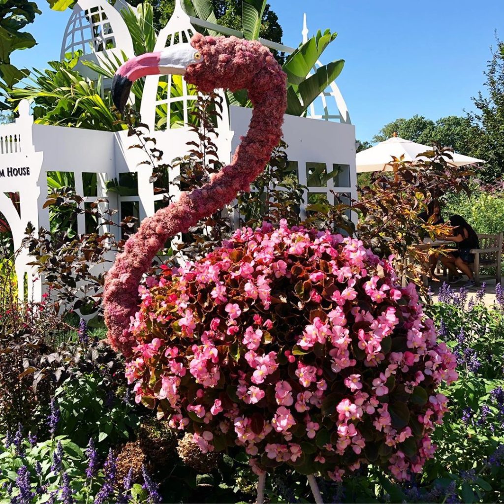 A quick stop at the always-inspiring US Botanical Garden to check out some late ...