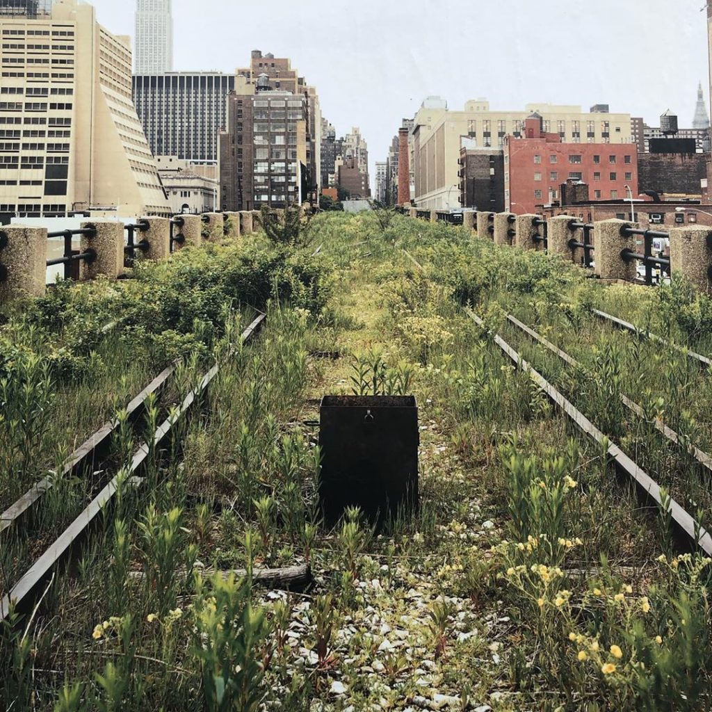 The photo that started it all. What am I talking about?
.#ny #nyc...