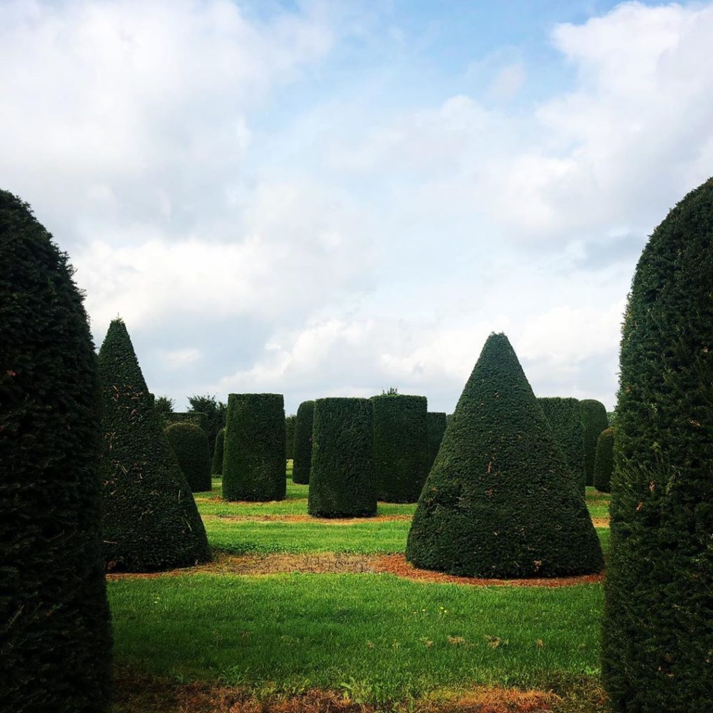 AW 19/20
Tagging trip...