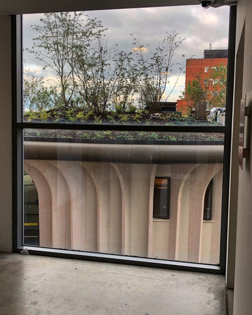 marielouiseagius: So many #angles : so many #views & so many #fabulous #plants : awesome to see ho… So many #angles : so many #views & so many #fabulous #plants : awesome to see ho...