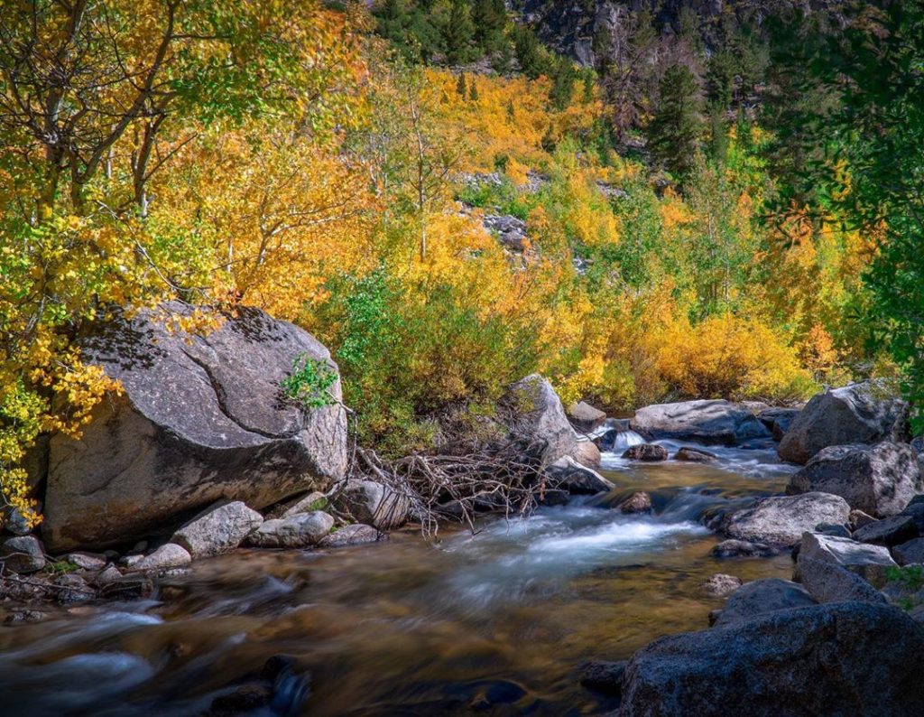 gardendesignmag: Can you hear the water and the birds? Thought you could use a nature break. Beau… Can you hear the water and the birds? Thought you could use a nature break. Beau...