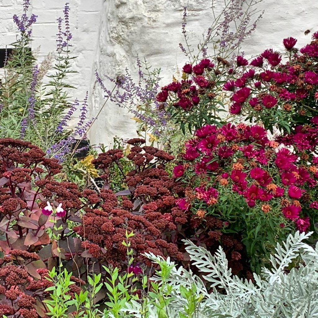 Meanwhile, back at the ranch, the planting has survived the torrential rain of l...