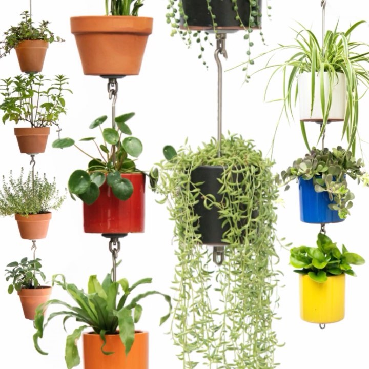 thehorticult: Friends, fellow gardeners, indoor and ...