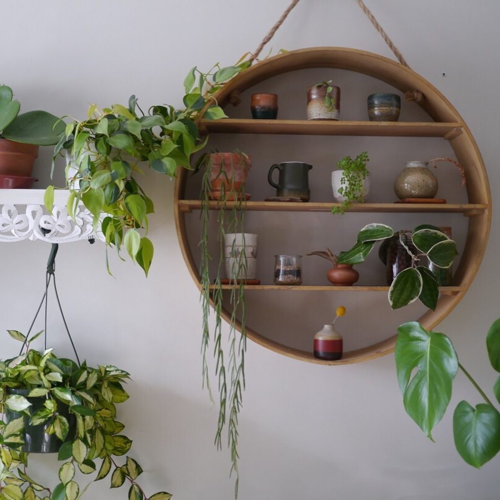 thesill: Swipe for the plant mom behind this cute plant set up. Amy Lee of @rootedingree… Swipe for the plant mom behind this cute plant set up. Amy Lee of @rootedingree...