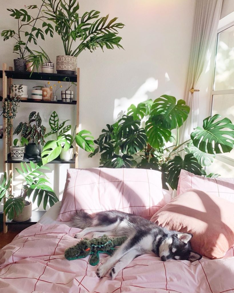 Starting our lazy Saturday off right.  Photo via @hothouse.jungle...