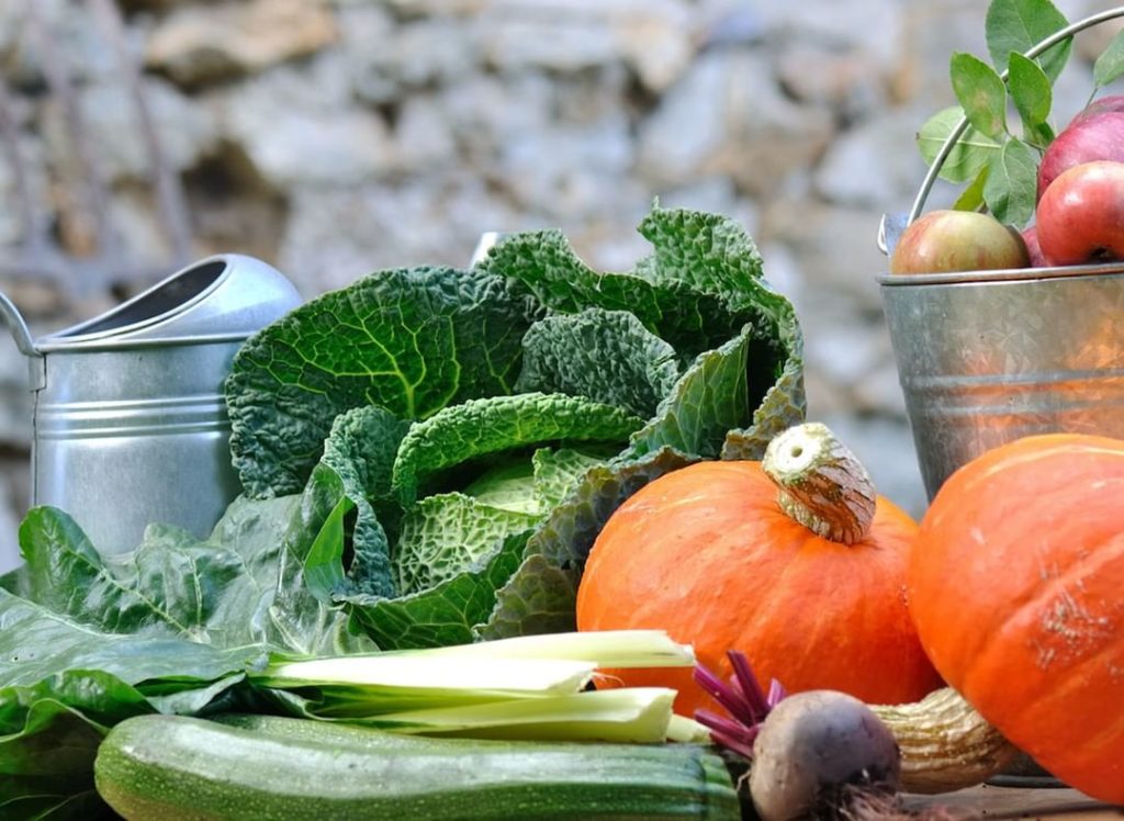 Hello, harvest time!
.
Some of the main crops to harvest this month are pumpkins...