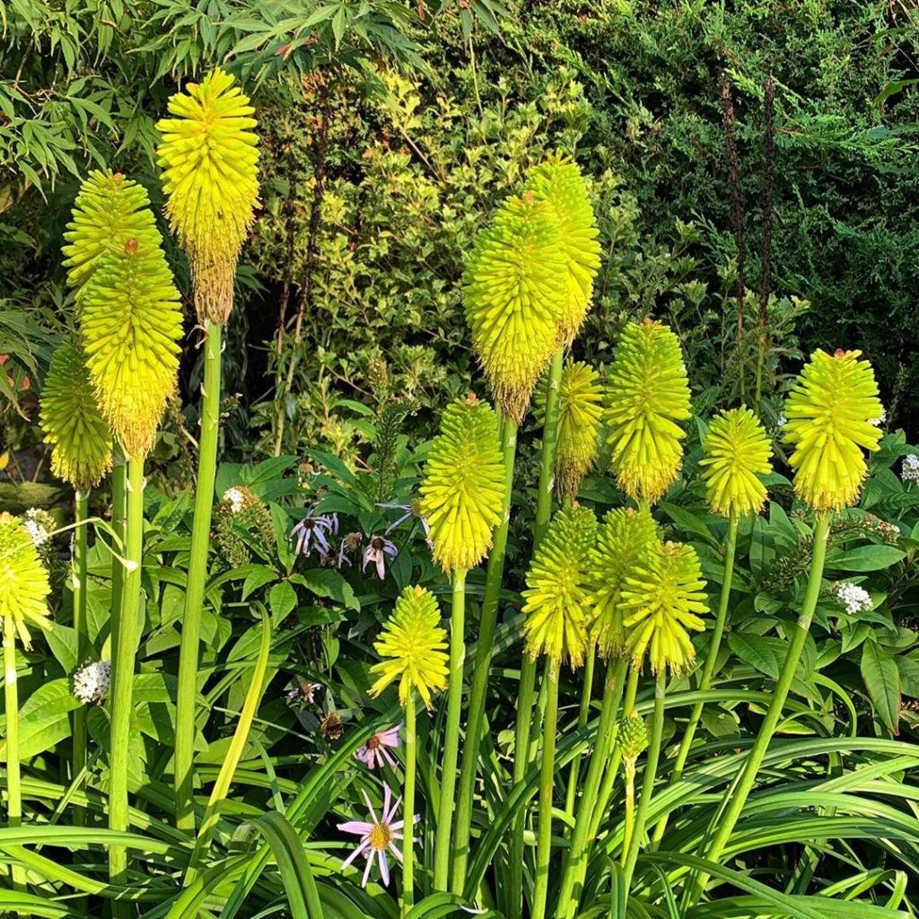 Finally, the rain stopped, the sun came out and the Pokers shone in the spotligh...