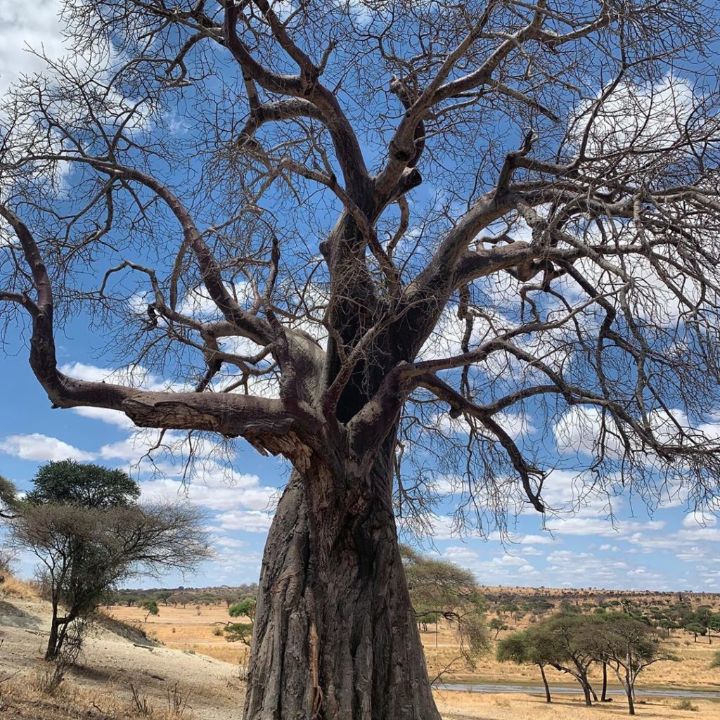 Getting out of the jeep is frowned upon (not surprisingly really considering the...