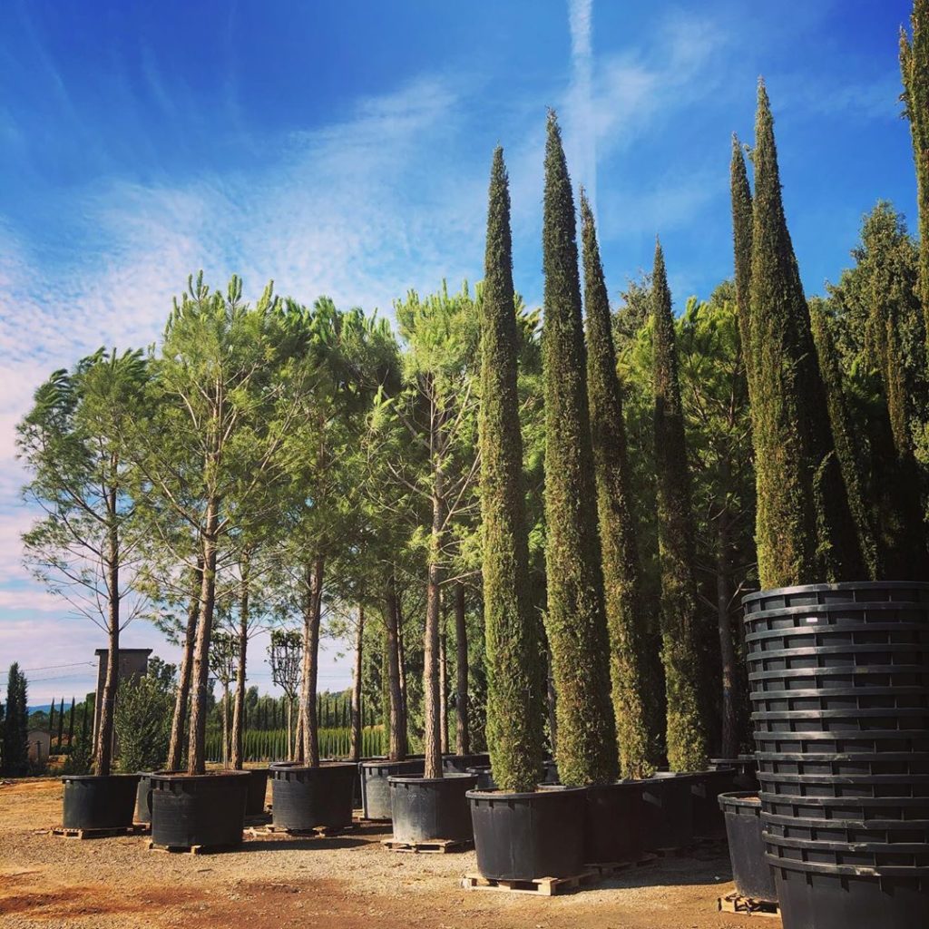 Mediterranean shopping this week #italianprojects #frenchprojects #busyyear #thi...