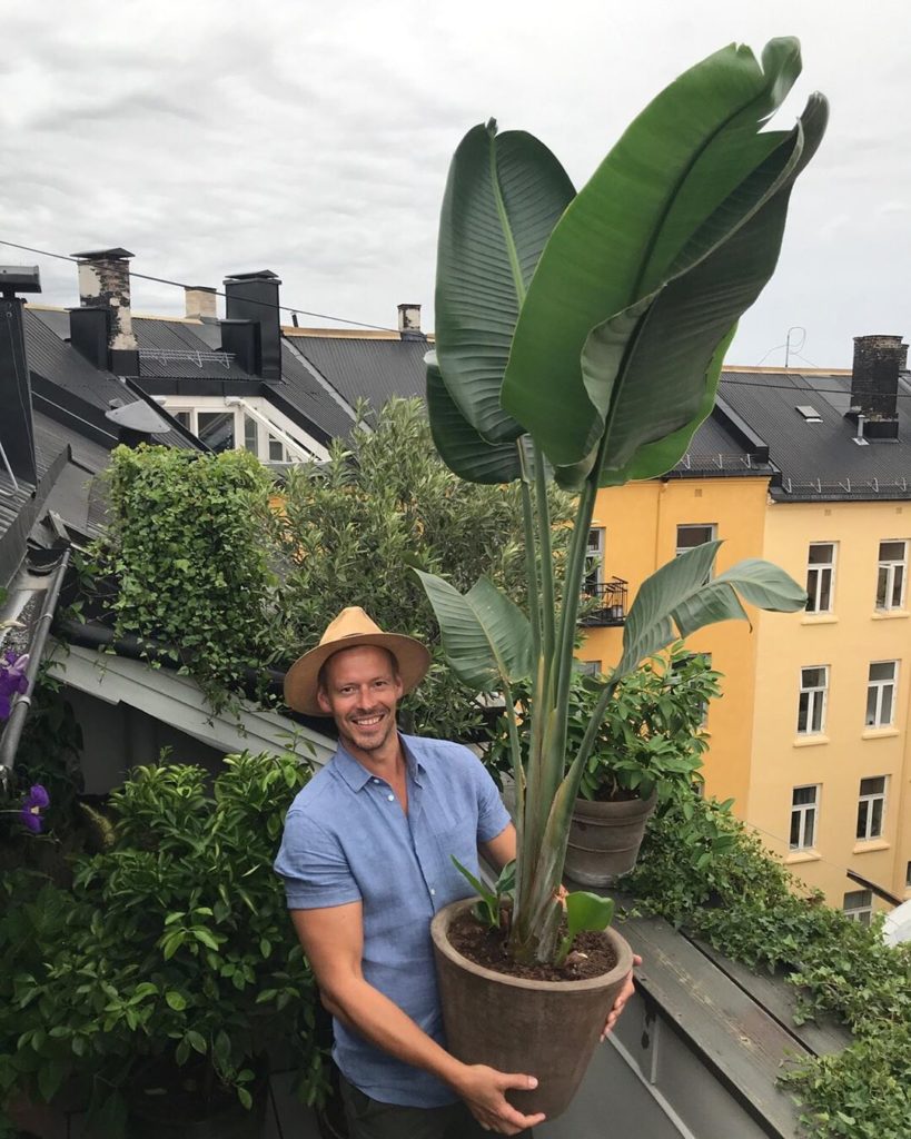 thesill: Meet Anders Røyneberg, better known as @arcticgardener, a Norwegian plantfluence… Meet Anders Røyneberg, better known as @arcticgardener, a Norwegian plantfluence...