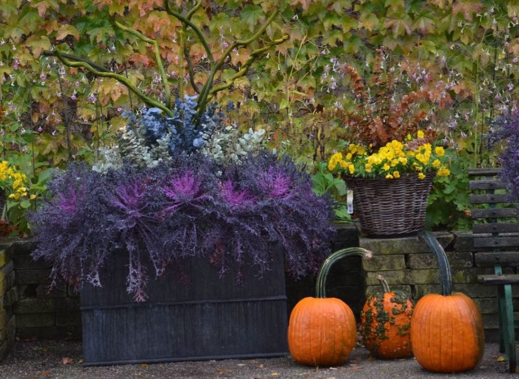 We can always count on detroitgarden for amazing seasonal containers!
.
.
#conta...