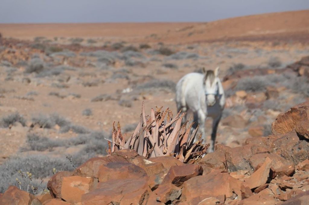 marielouiseagius: Two striking things about this shot : first, that suddenly, out of nowhere, in t… Two striking things about this shot : first, that suddenly, out of nowhere, in t...