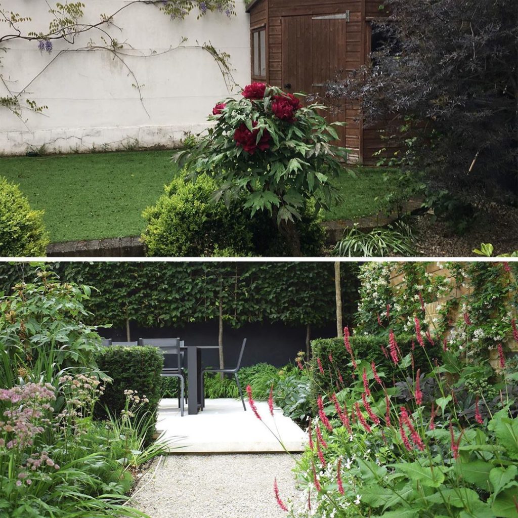 charlotterowegardens: A bit of a #transformation A beautiful #treepeony looking very lonely in this #b… A bit of a #transformation A beautiful #treepeony looking very lonely in this #b...