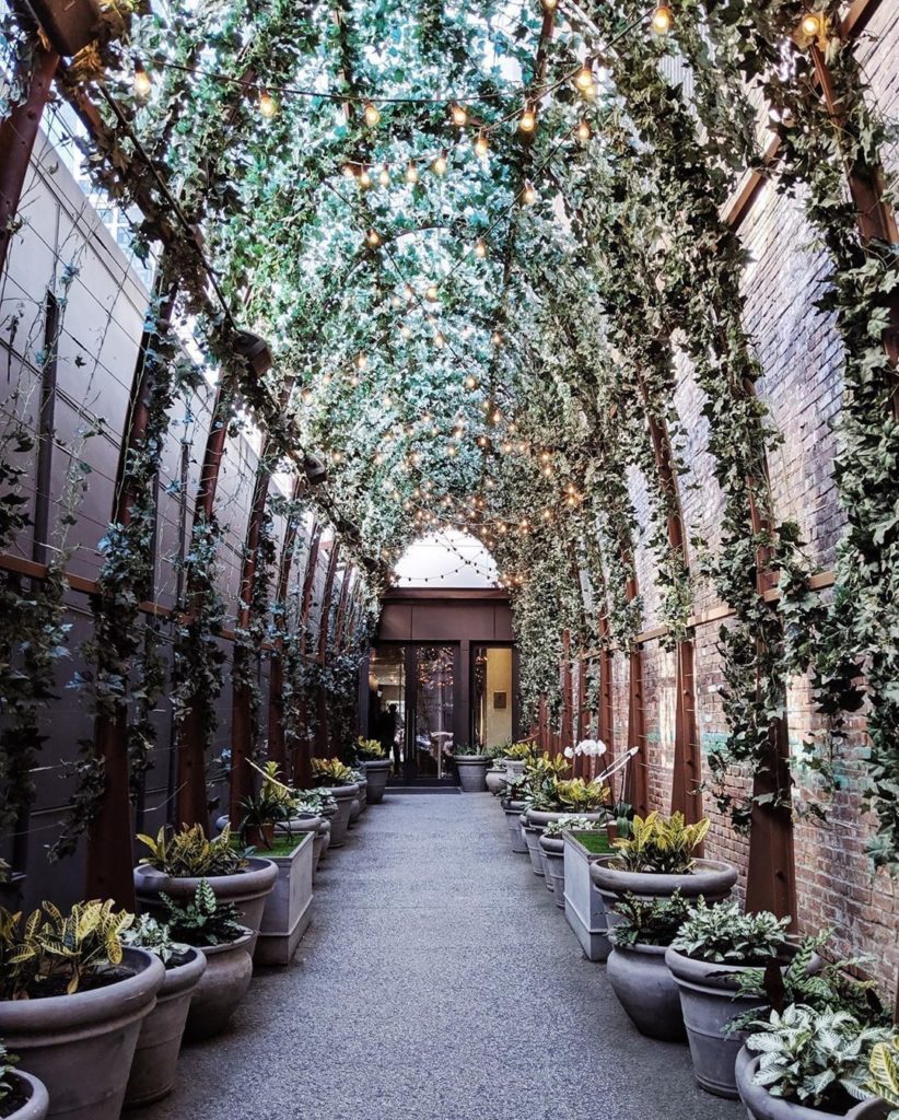Plants high and low.  Photo of @thenomosoho via @thismodernstyle....