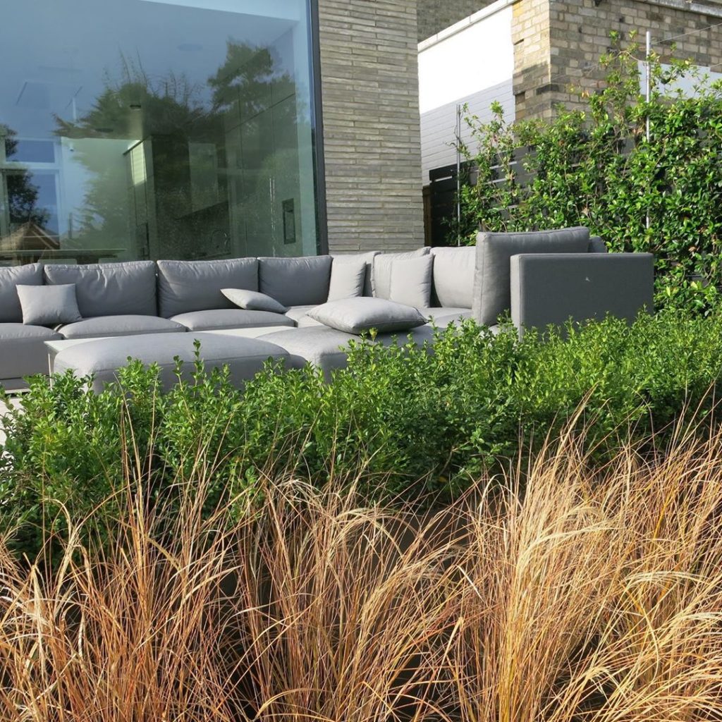 #grasses and #buxus #hedging softening the #terrace #outdoor#furniture #contempo...