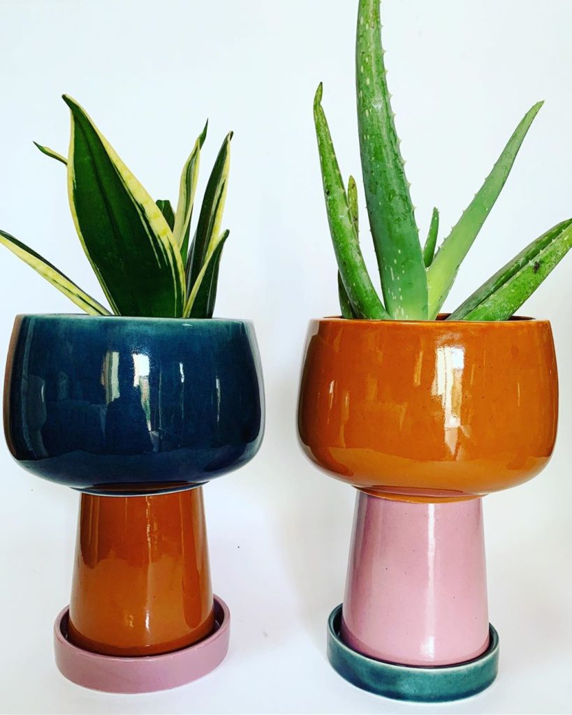 thejungalow: Mixed kiddos #kayaplanters #jungalow .
.
.
.
Cue long-ass list of hashtags: #bo… Mixed kiddos #kayaplanters #jungalow .
.
.
.
Cue long-ass list of hashtags: #bo...