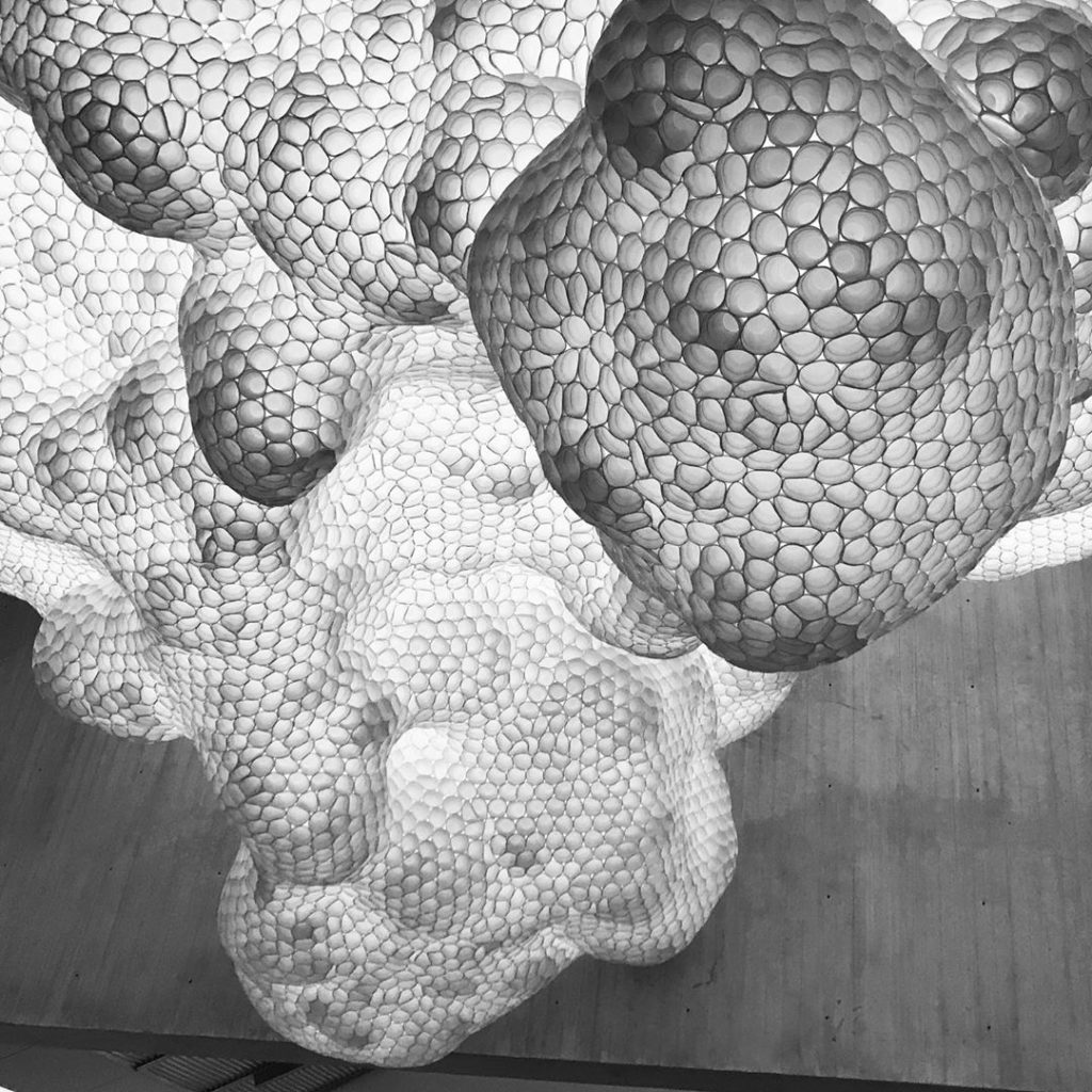 Untitled, Tara Donovan, 2003
Rolling clouds of Styrofoam drinking cups assume fo...