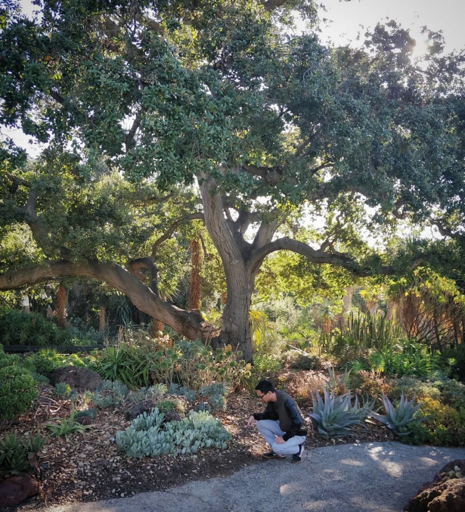 houseplantjournal: Spending the Saturday morning wandering @thehuntingtonlibrary – look how older l… Spending the Saturday morning wandering @thehuntingtonlibrary - look how older l...