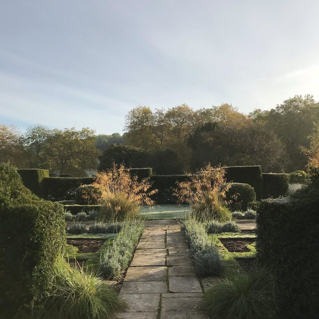 First #frost of the #winter @healegardens #stipagigantea #lavender #taxus...