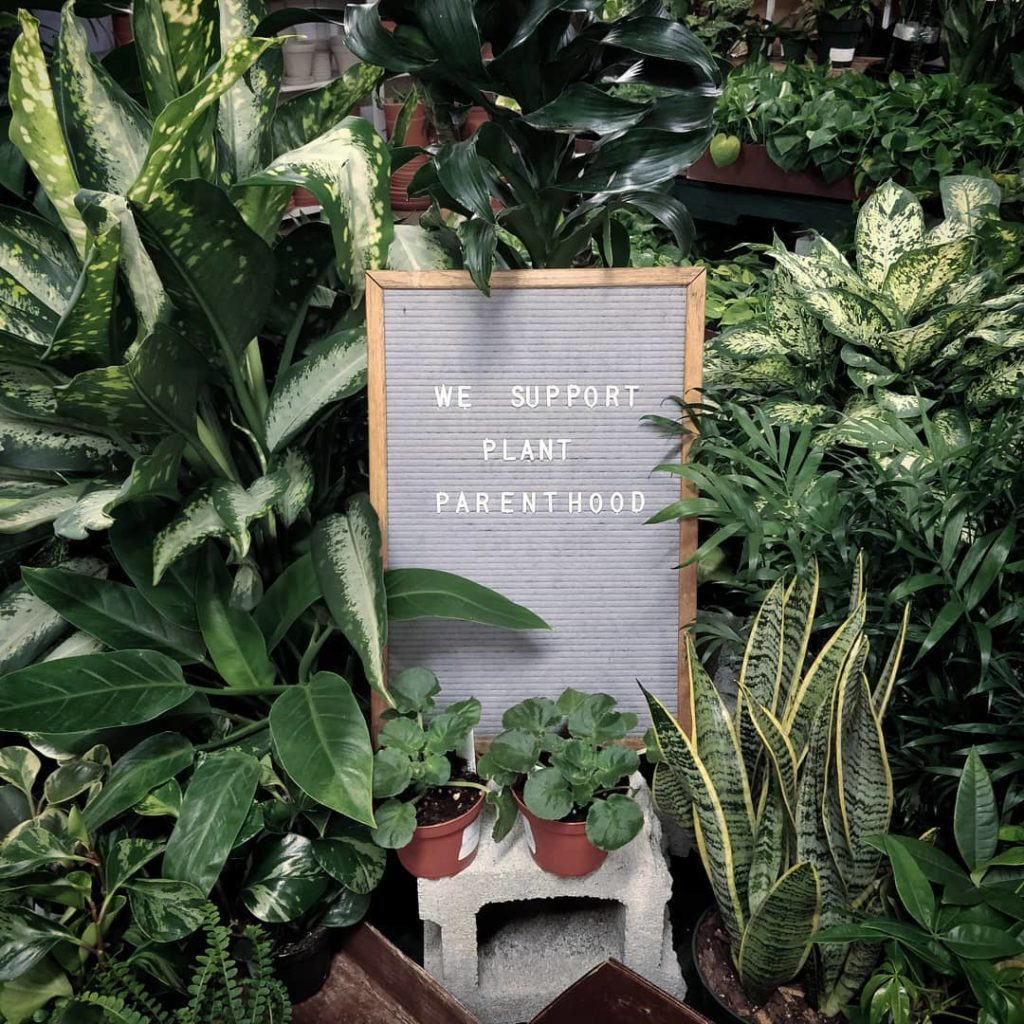 houseplantjournal: I concur! (at the entrance of @nicheplantshop )
–
Thanks to the attendees and Ad… I concur! (at the entrance of @nicheplantshop )
-
Thanks to the attendees and Ad...