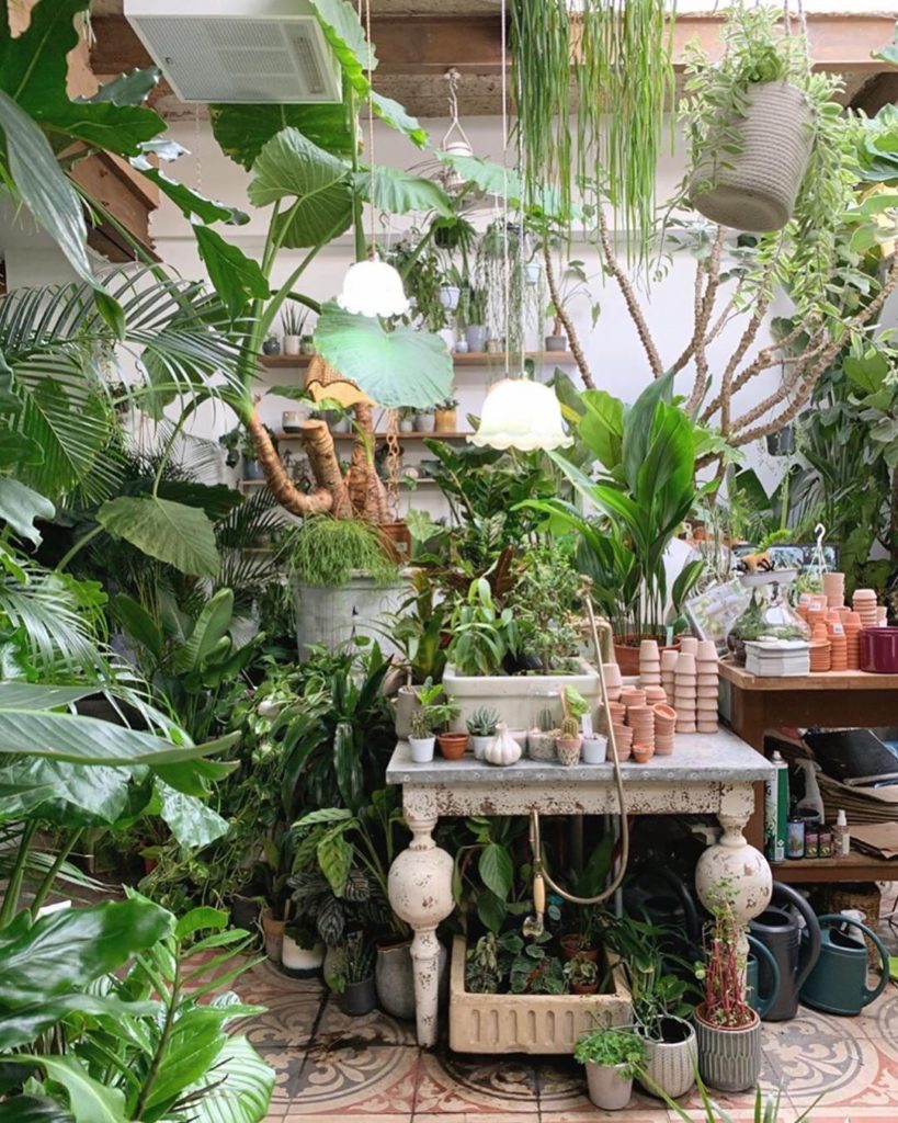We'll take one of each, please.  Photos via @conservatory_archives...