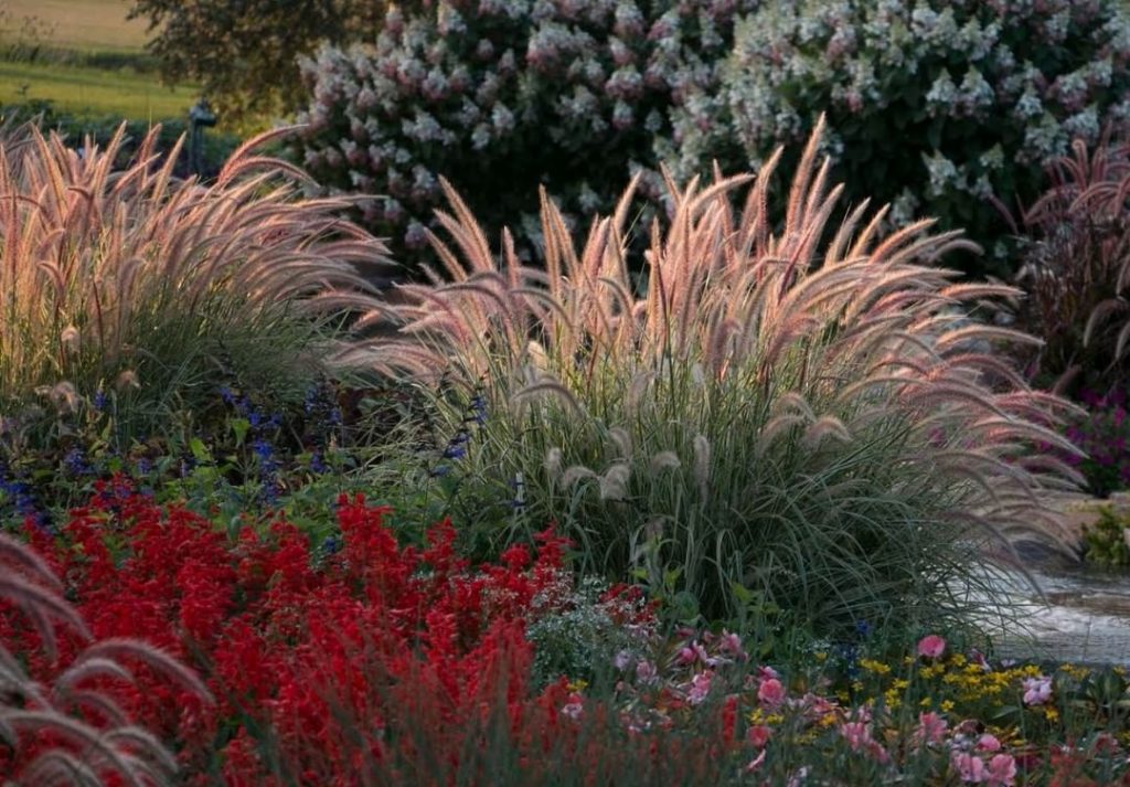 gardendesignmag: Do you know how to put your garden to bed properly? What tasks are you doing in … Do you know how to put your garden to bed properly? What tasks are you doing in ...