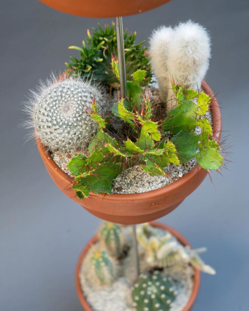 thehorticult: TWO MORE DAYS UNTIL LAUNCH OF @skypots_usa Loving these desertscape arrangement… TWO MORE DAYS UNTIL LAUNCH OF @skypots_usa Loving these desertscape arrangement...