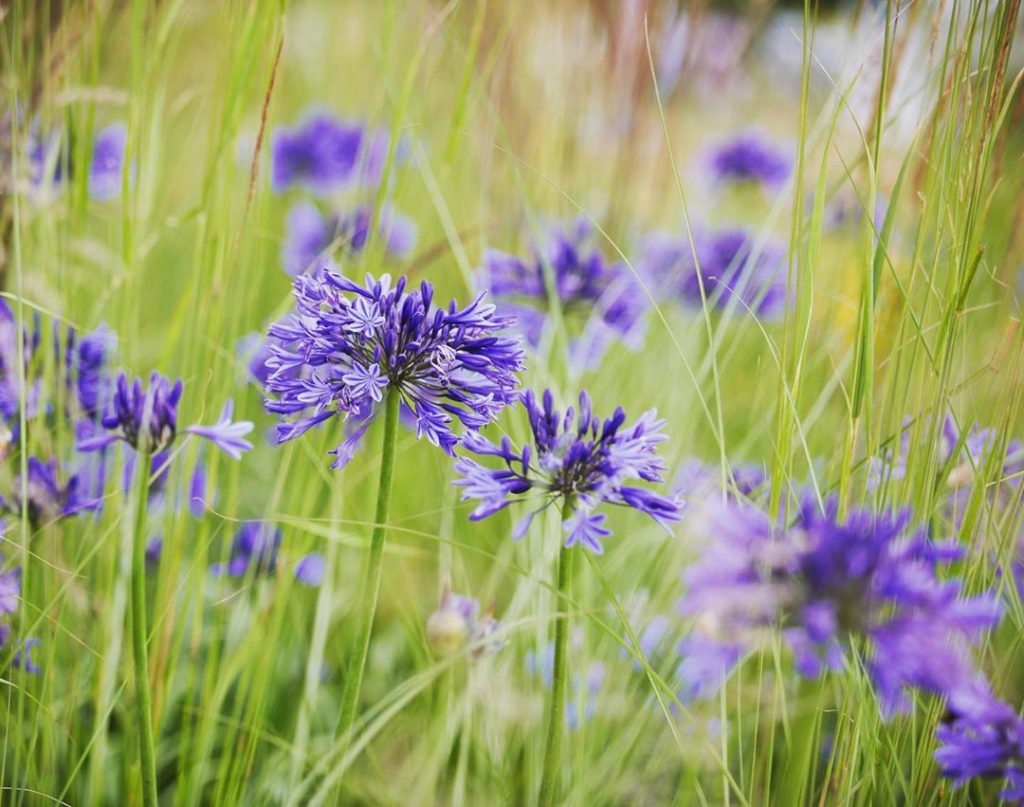 tommasseyuk: I came across this image looking through old work photographs – one of my favour… I came across this image looking through old work photographs - one of my favour...