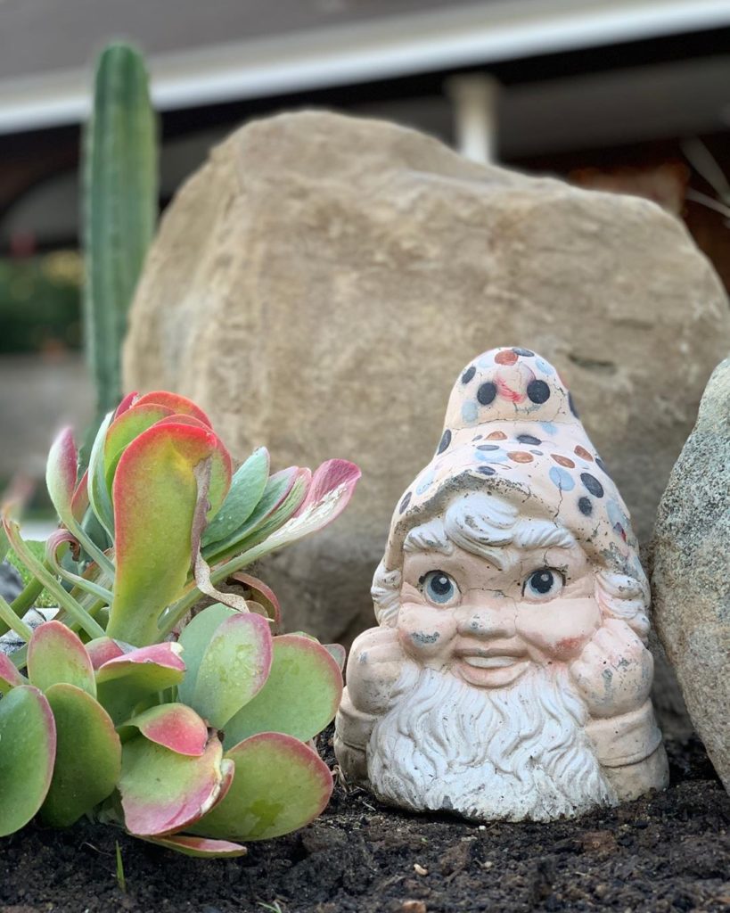 What should we name this new friend??
#gardengnome...
