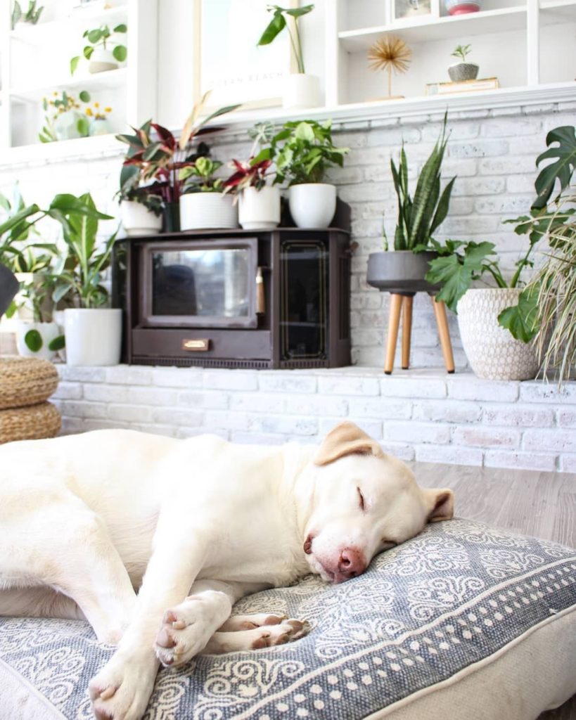 Friday is here and we're already dreaming about sleeping in tomorrow.  Dream liv...