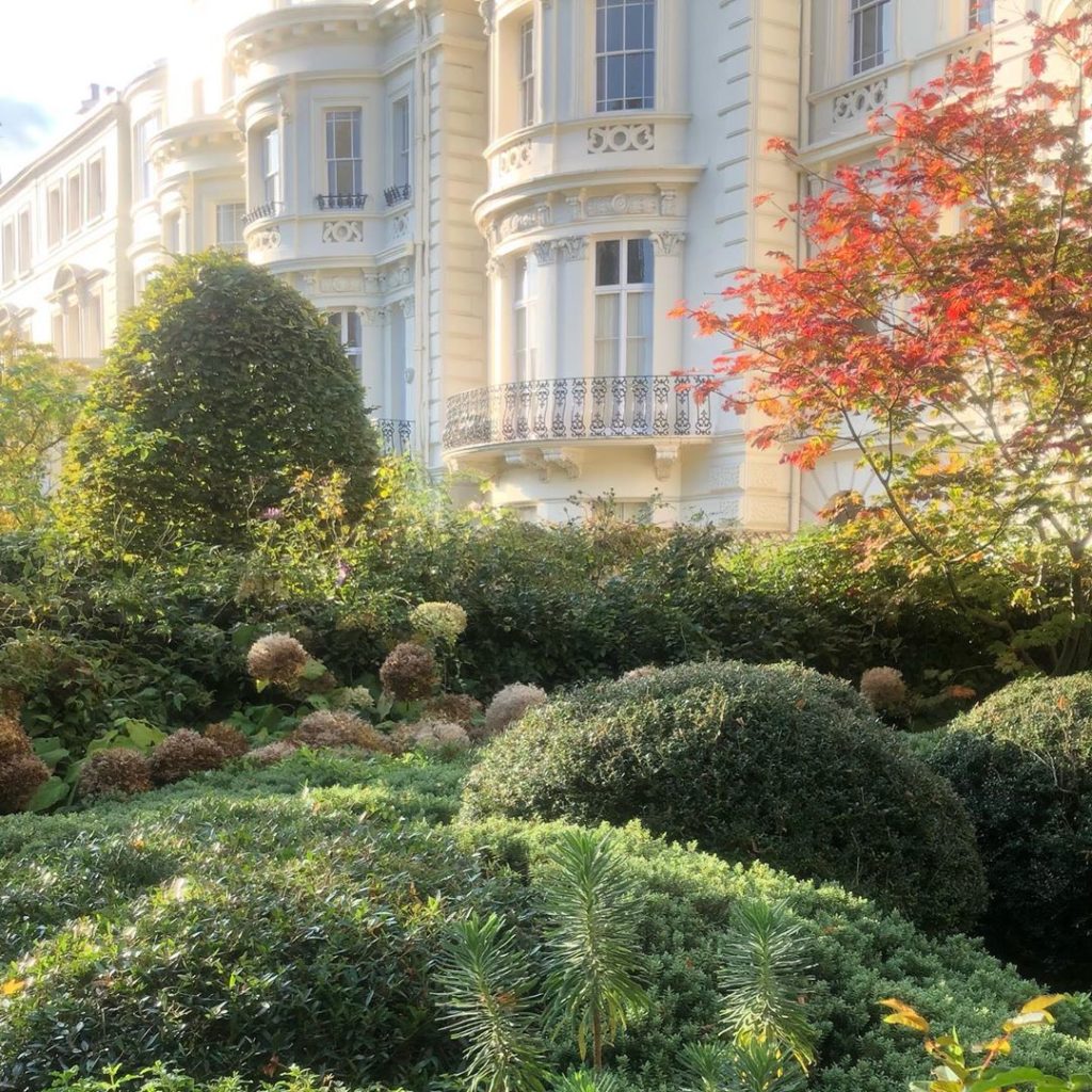 Amazing Autumnal light only two days ago...come back please!...