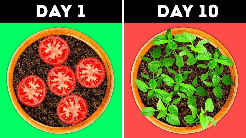 23 GENIUS IDEAS FOR YOUR GARDEN