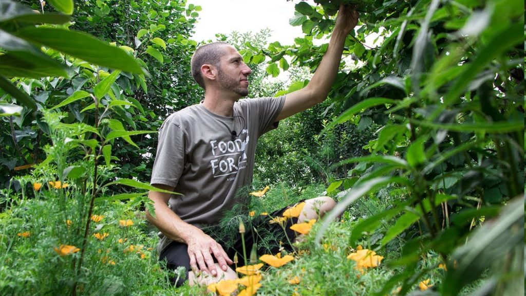 They said I was Crazy for gardening like this, until they saw the Harvests...