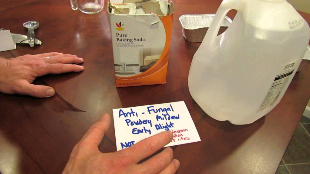 For New Gardeners: How to Make a Baking Soda Anti-Fungal Garden Spray - MFG 2014