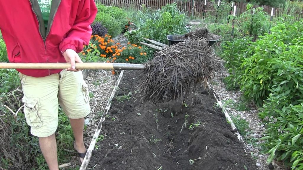 MIgardener: How to Set Up Core Garden Bed – Core Gardening Method How to Set Up Core Garden Bed - Core Gardening Method